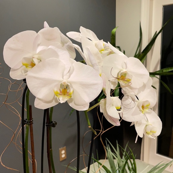 Meet your Posher, So - Picture 1 of 1